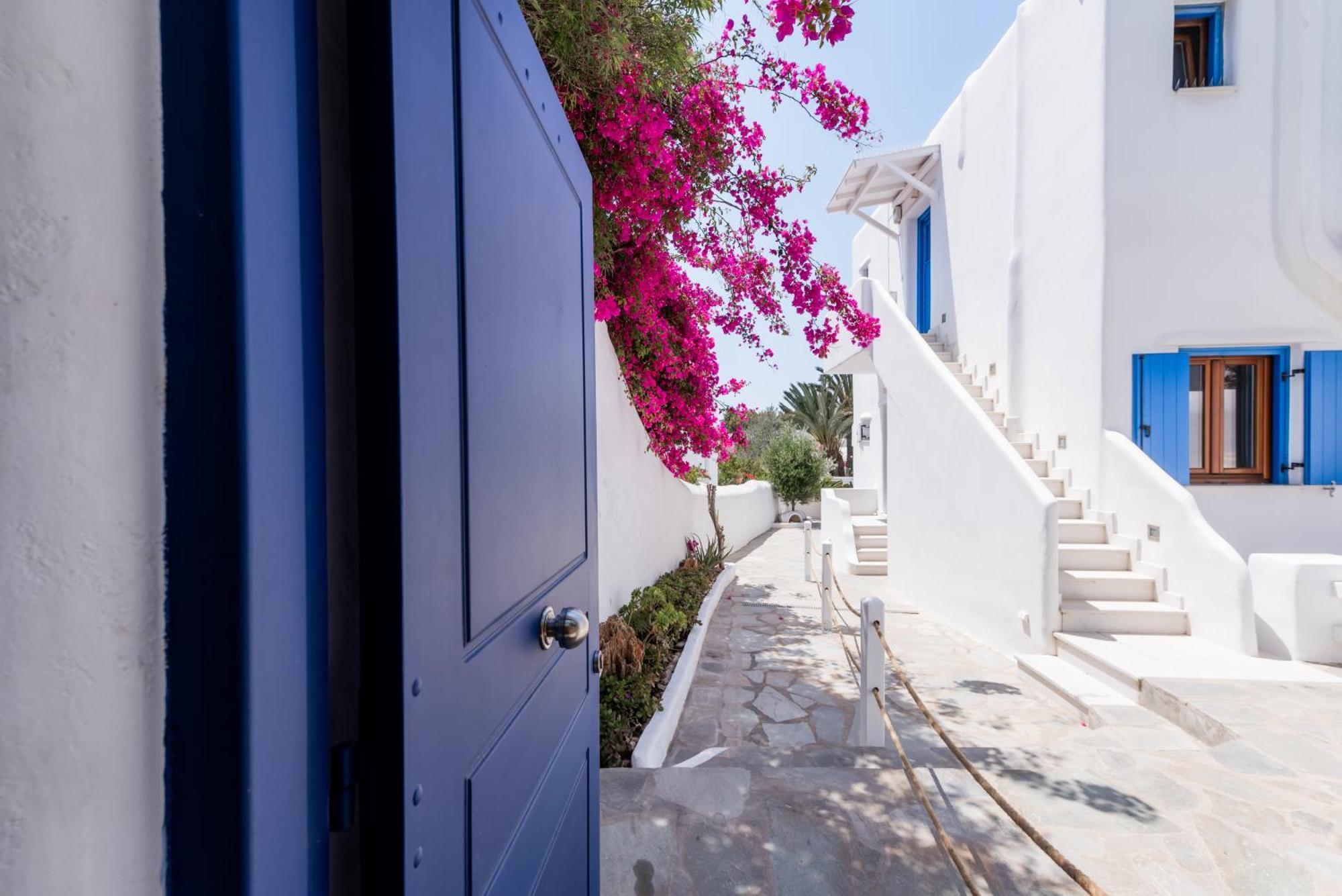 Olive Tree Mykonos Town Semi-Basement Apartment 外观 照片