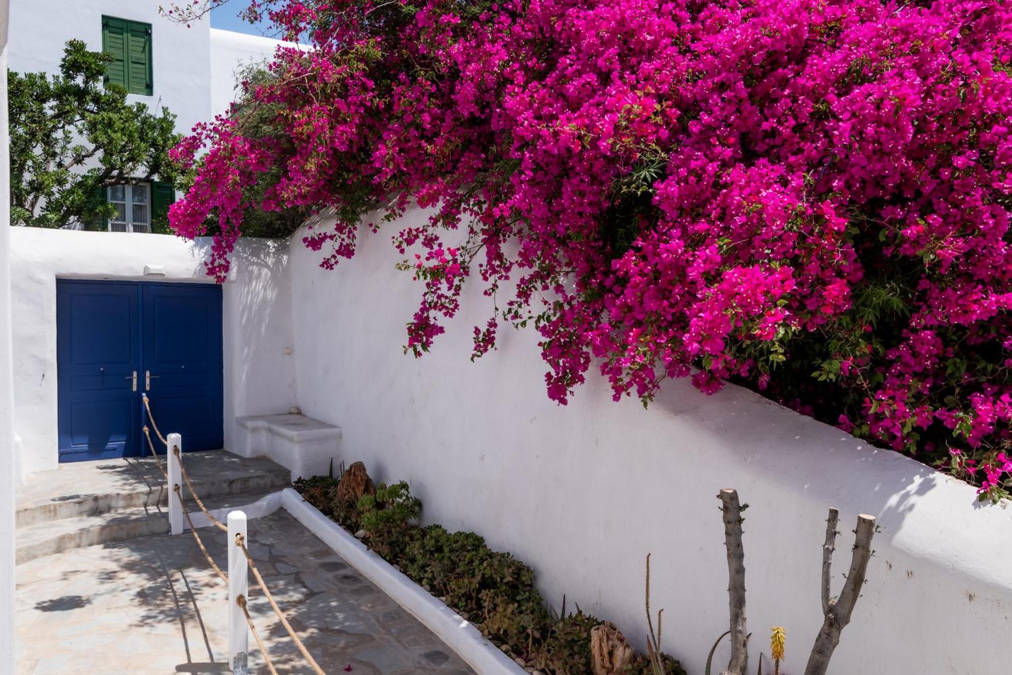 Olive Tree Mykonos Town Semi-Basement Apartment 外观 照片